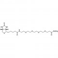 Biotin-PEG4-Hydrazide