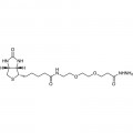 Biotin-PEG2-Hydrazide