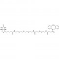 Dibenzocyclooctyne-S-S-PEG3-Biotin