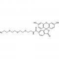 6-FAM-PEG3-Azide