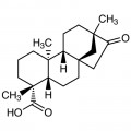 Isosteviol