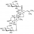 Ginsenoside Rg1