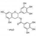 (-)-Epigallocatechin Gallate Hydrate