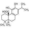 Carnosic Acid