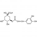Chlorogenic Acid
