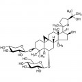 Astragaloside IV