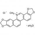 Sanguinarine Chloride Hydrate