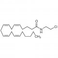 Arachidonyl-2-chloroethylamide