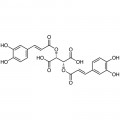 Chicoric Acid