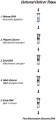 GenElute™ Mammalian Genomic DNA Miniprep Kits