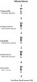 GenElute™ Blood Genomic DNA Kit