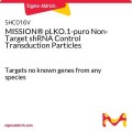 MISSION® pLKO.1-puro Non-Target shRNA Control Transduction Particles