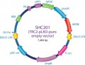 MISSION® TRC2 pLKO.5-puro Empty Vector Control Transduction Particles puro