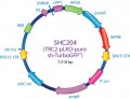 MISSION® TRC2 pLKO.5-puro TurboGFP™ shRNA Control Transduction Particles