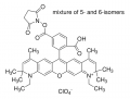 Atto 590 NHS ester