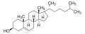 Synthechol® Synthetic Cholesterol