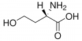 ʟ-Homoserine