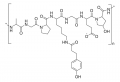 Tyramine functionalized gelatin