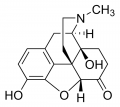 Oxymorphone solution