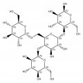 Glycogen, from beef liver