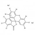 Phloxine B (Certified Biological Stain), Fisher Chemical