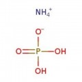 Ammonium Phosphate Monobasic (Crystalline/Certified ACS), Fisher Chemical