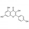 Kaempferol