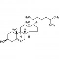 Cholesterol (>99%) (stabilized with α-Tocopherol)