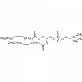 1,2-Dierucoyl-sn-glycero-3-phosphocholine