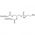 1,2-Dipalmitoyl-sn-glycero-3-phosphoethanolamine