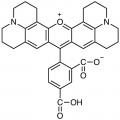 5-Carboxy-X-rhodamine