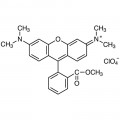 Tetramethylrhodamine Methyl Ester Perchlorate