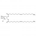 N-(2,3-Dioleoyloxy)propyl-N,N,N-trimethylammonium Chloride