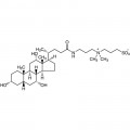 3-[(3-Cholamidopropyl)dimethylammonio]-1-propanesulfonate