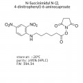 N-Succinimidyl N-(2,4-dinitrophenyl)-6-aminocaproate