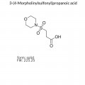 3-(4-Morpholinylsulfonyl)propanoic acid