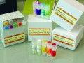 DLAM-AβVproS-¹³CH₃ Methyl Labeling Kit