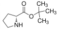 h-D-pro-otbu