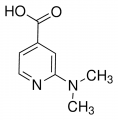 2-(Dimethylamino)isonicotinic acid