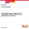 IL-21 human