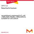 Neurturin human