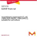 GDNF from rat