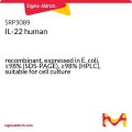 IL-22 human
