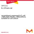 IL-2 from rat