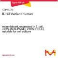 IL-13 Variant human