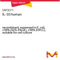 IL-10 human