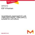 IGF-II human