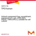 TPO human