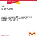 IL-10 human