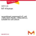 NT-4 human